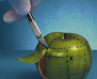 在线永久免费轰炸电话